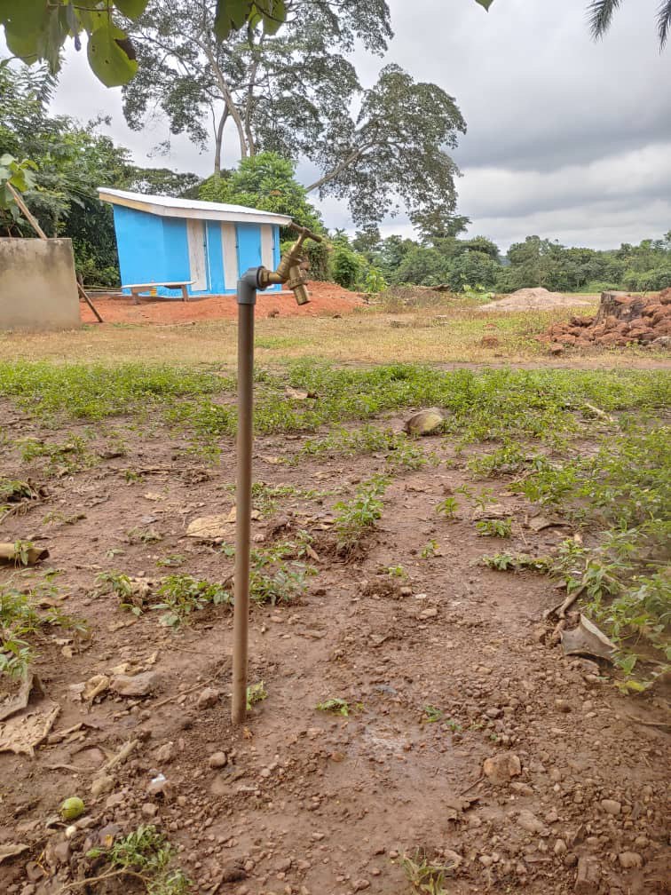 WhatsApp Image 2025-10-11 at 12.01.18 PM (1)